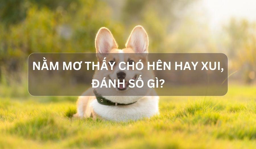Giải mã giấc mơ mua nhà theo phong thủy. Những điều cần biết